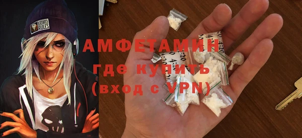 мдпв Лагань