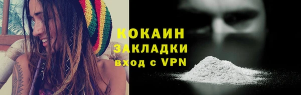 мдпв Лагань