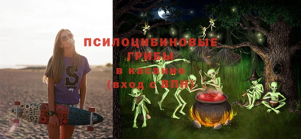 бошки Оленегорск