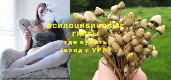 бошки Оленегорск