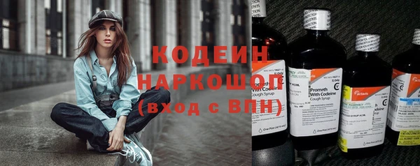 мдпв Лагань