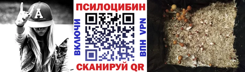 Галлюциногенные грибы MAGIC MUSHROOMS  купить  сайты  Темрюк 